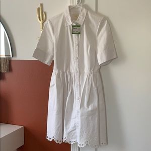 Kate spade shirt dress 6
